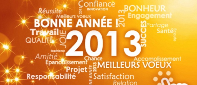 Bonne année 2013